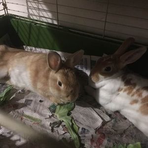 Meet your Posher, Manuel